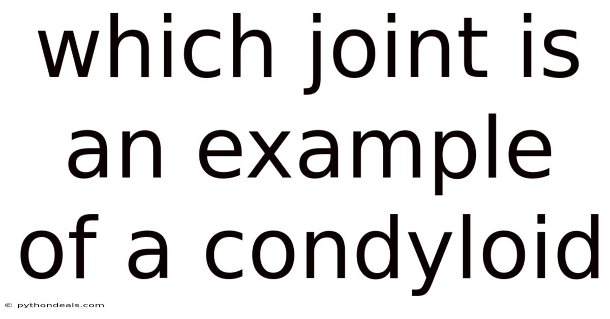 Which Joint Is An Example Of A Condyloid