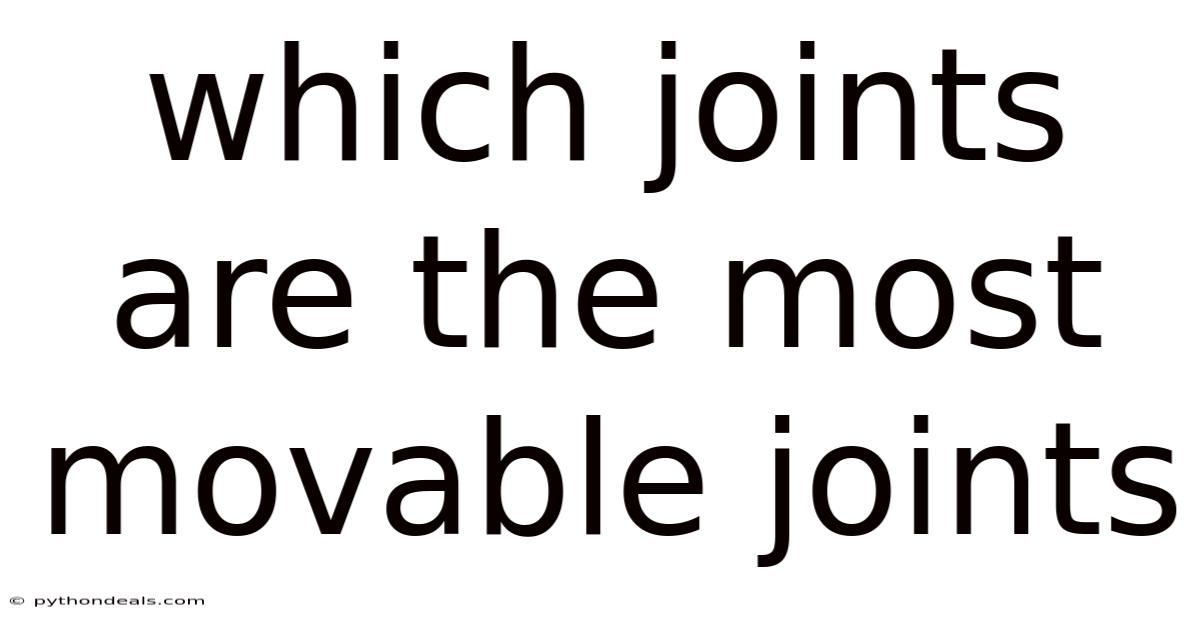 Which Joints Are The Most Movable Joints