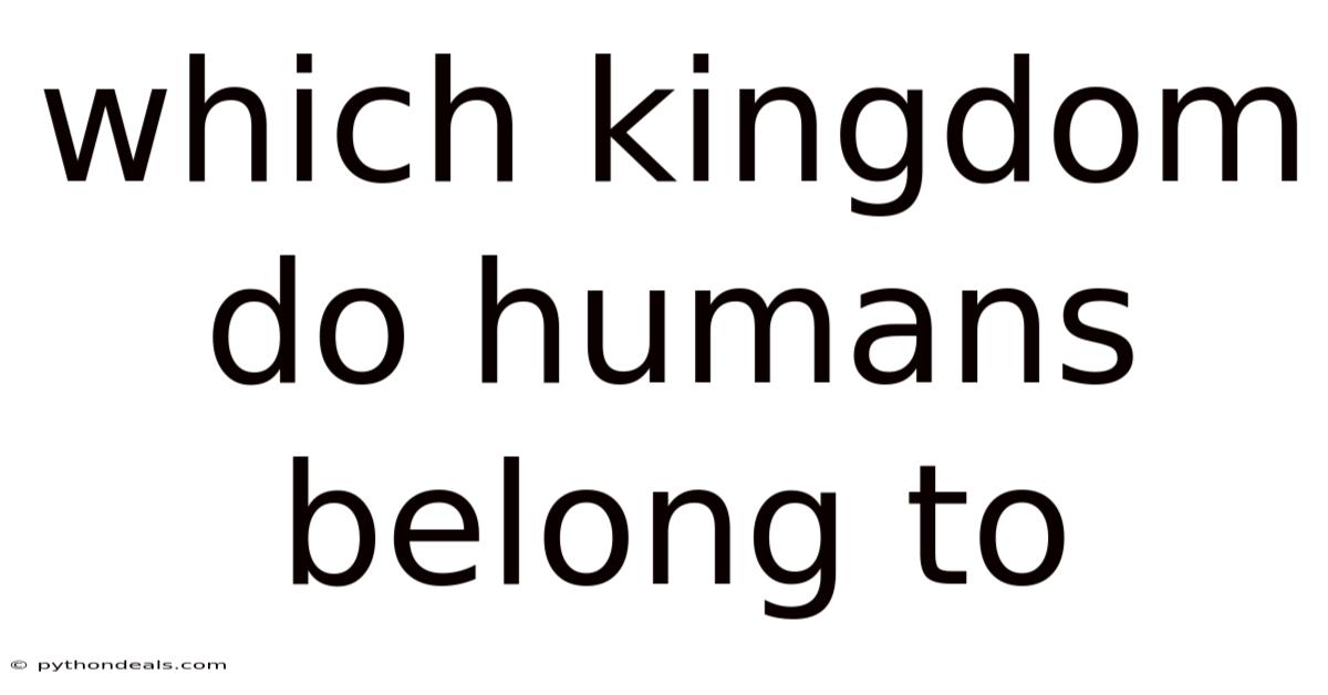 Which Kingdom Do Humans Belong To