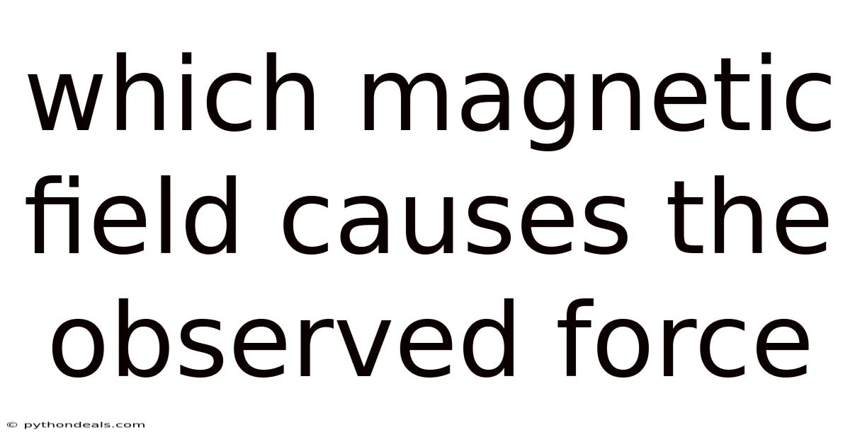 Which Magnetic Field Causes The Observed Force