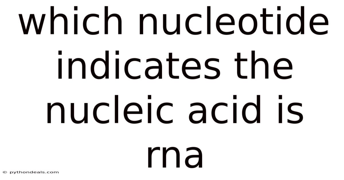 Which Nucleotide Indicates The Nucleic Acid Is Rna