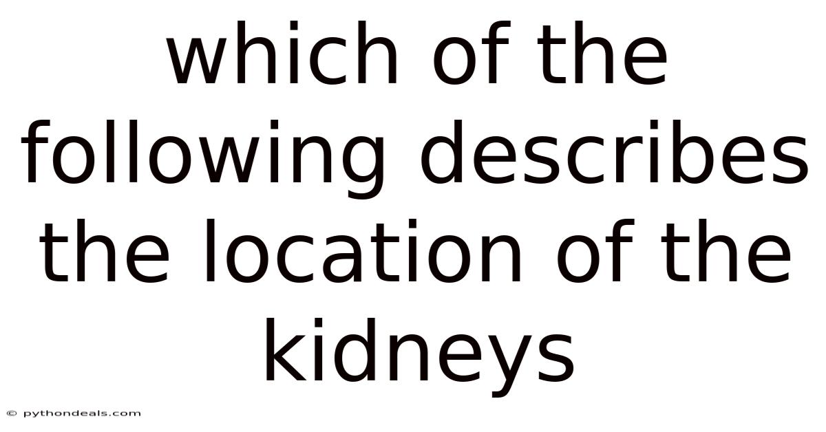 Which Of The Following Describes The Location Of The Kidneys