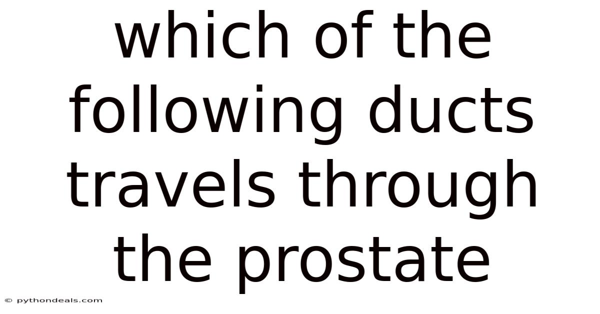 Which Of The Following Ducts Travels Through The Prostate