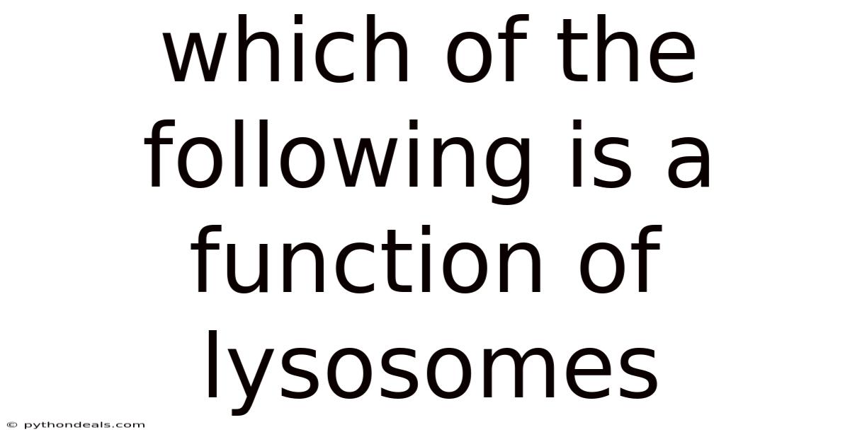 Which Of The Following Is A Function Of Lysosomes