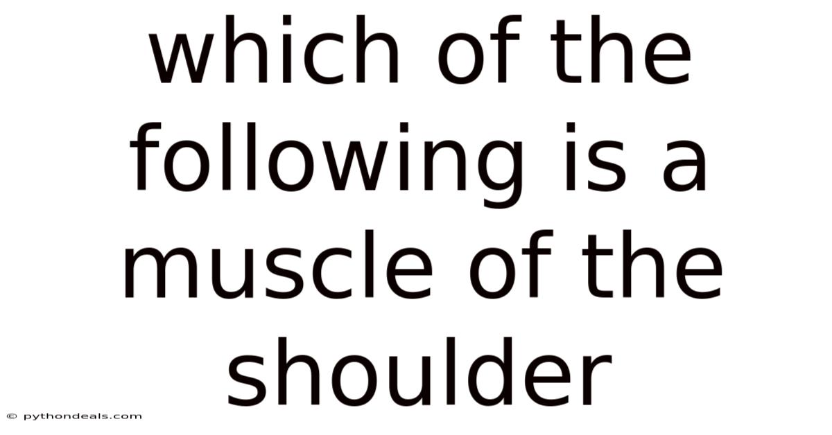 Which Of The Following Is A Muscle Of The Shoulder