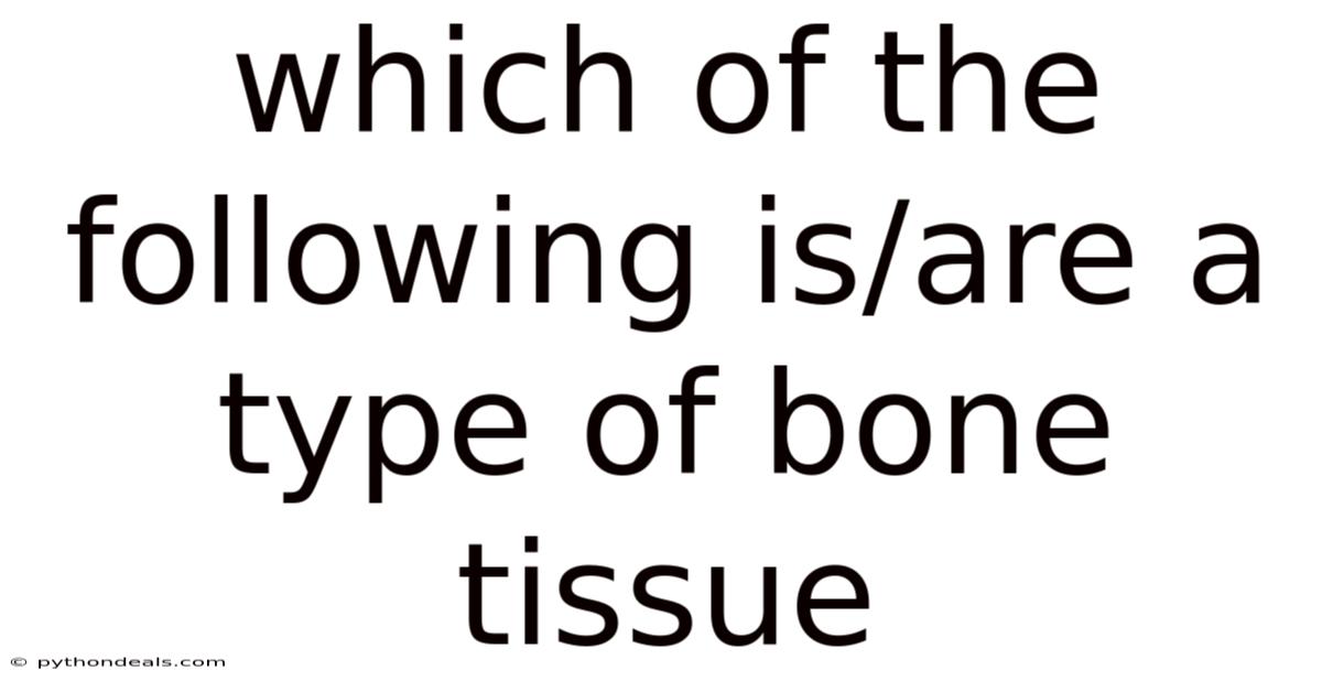 Which Of The Following Is/are A Type Of Bone Tissue