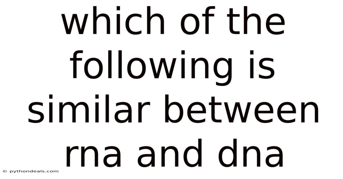 Which Of The Following Is Similar Between Rna And Dna