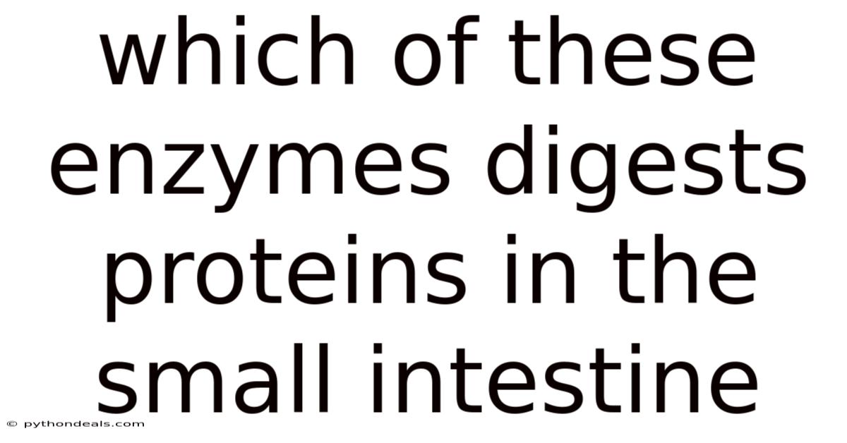 Which Of These Enzymes Digests Proteins In The Small Intestine