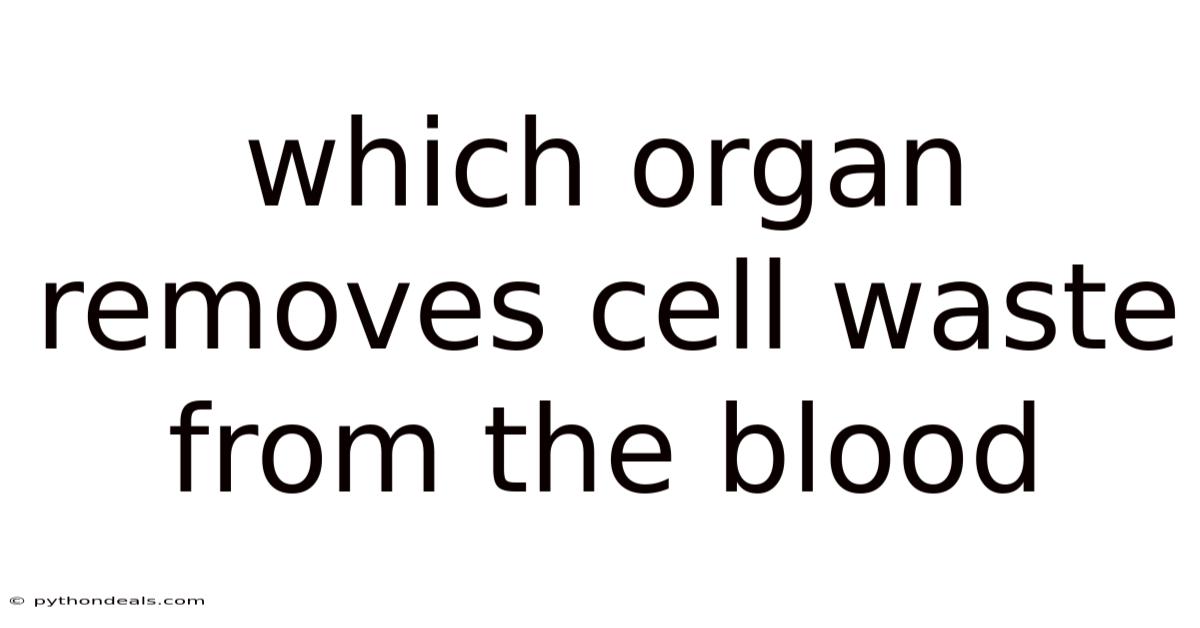 Which Organ Removes Cell Waste From The Blood