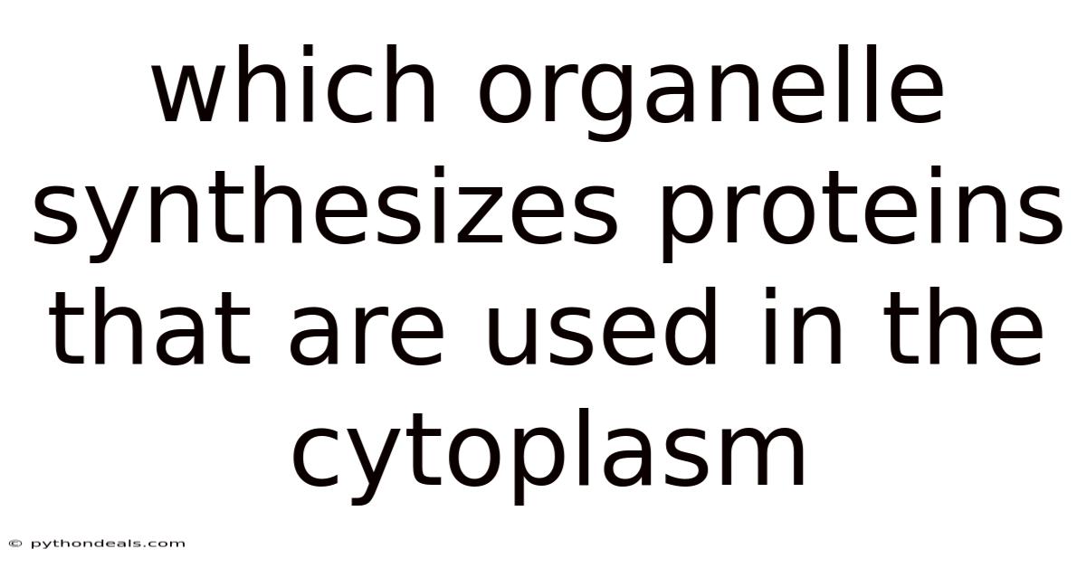 Which Organelle Synthesizes Proteins That Are Used In The Cytoplasm