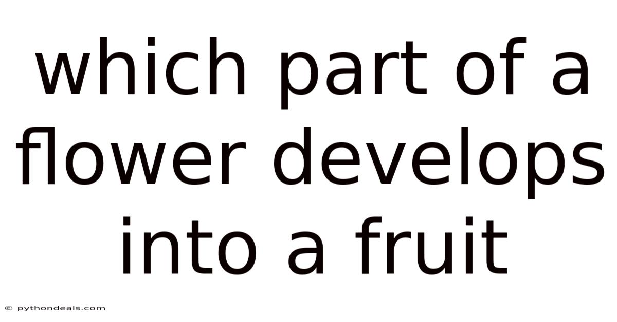 Which Part Of A Flower Develops Into A Fruit