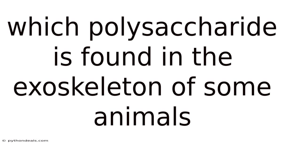 Which Polysaccharide Is Found In The Exoskeleton Of Some Animals