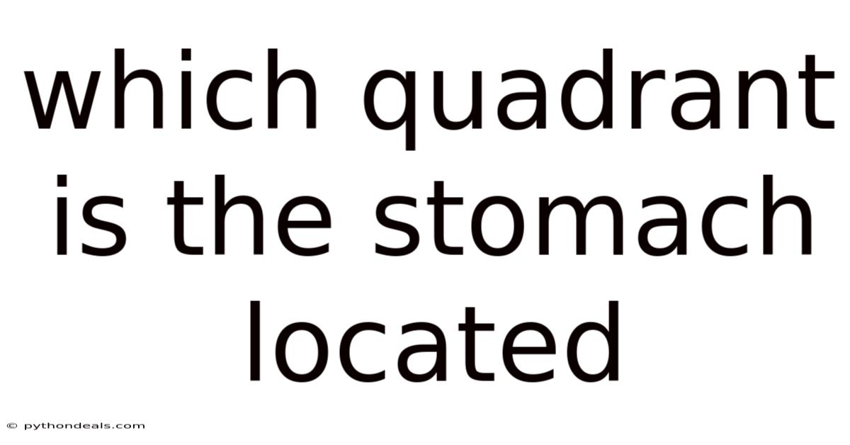 Which Quadrant Is The Stomach Located
