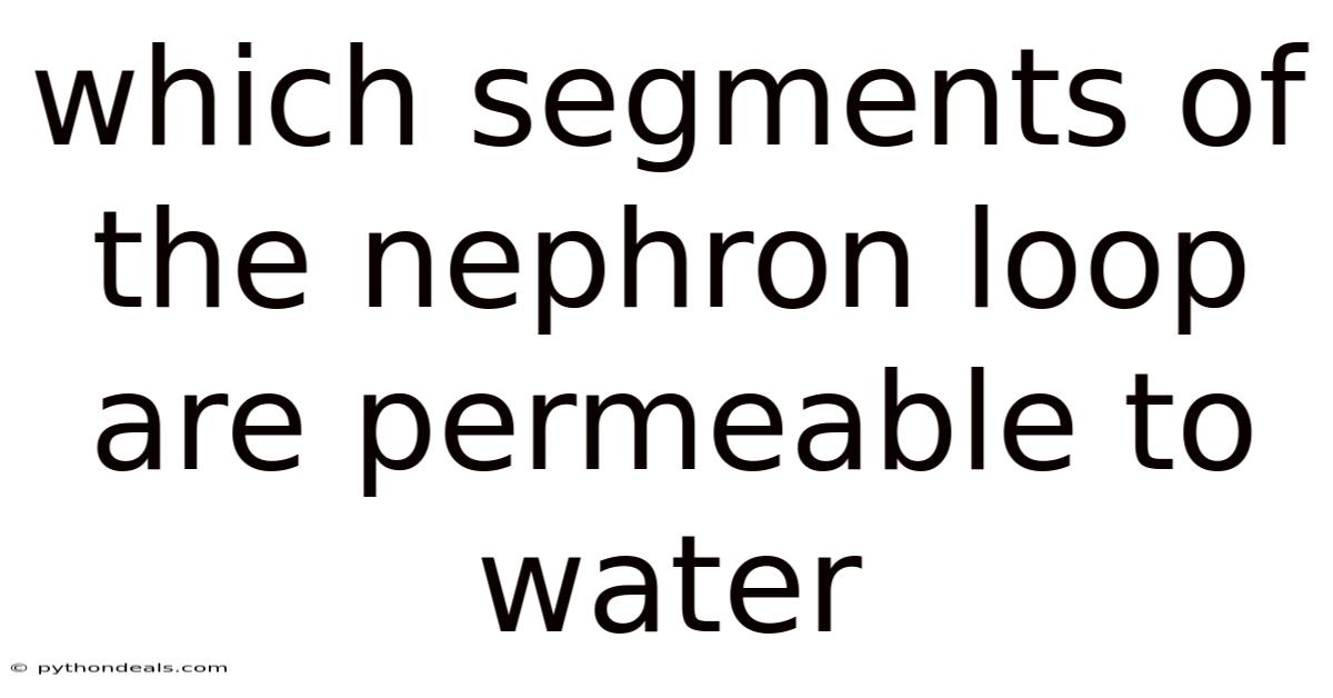 Which Segments Of The Nephron Loop Are Permeable To Water