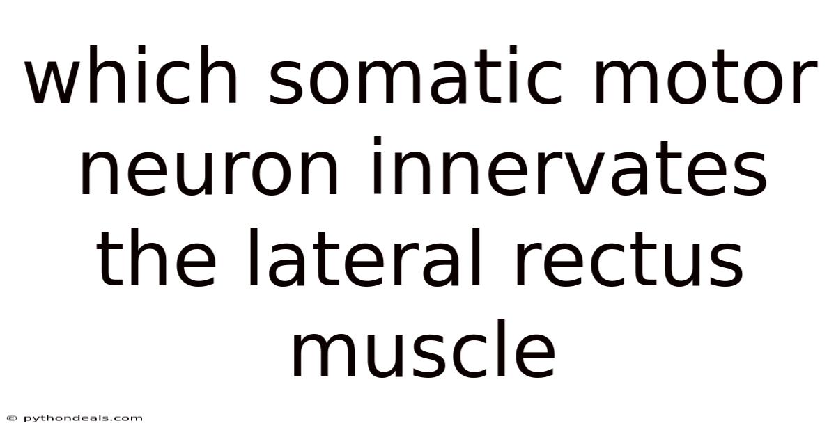 Which Somatic Motor Neuron Innervates The Lateral Rectus Muscle