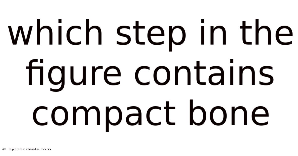 Which Step In The Figure Contains Compact Bone