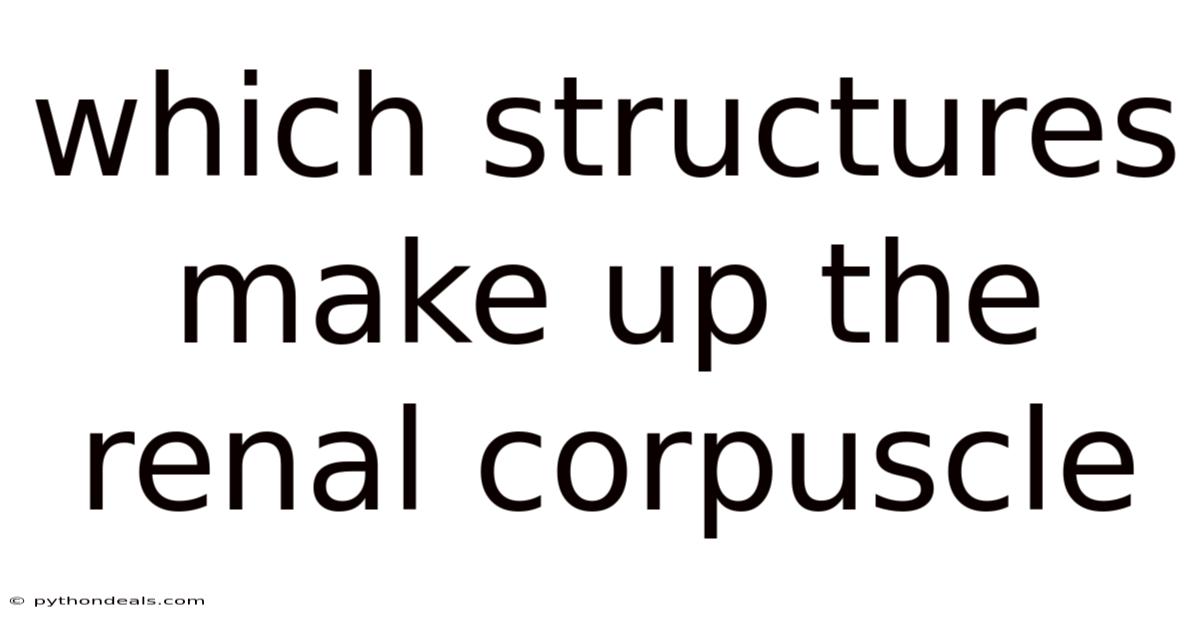 Which Structures Make Up The Renal Corpuscle