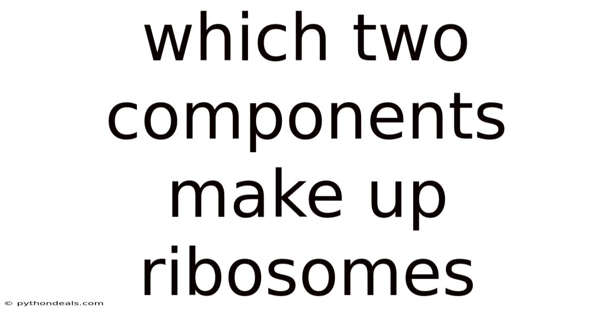 Which Two Components Make Up Ribosomes