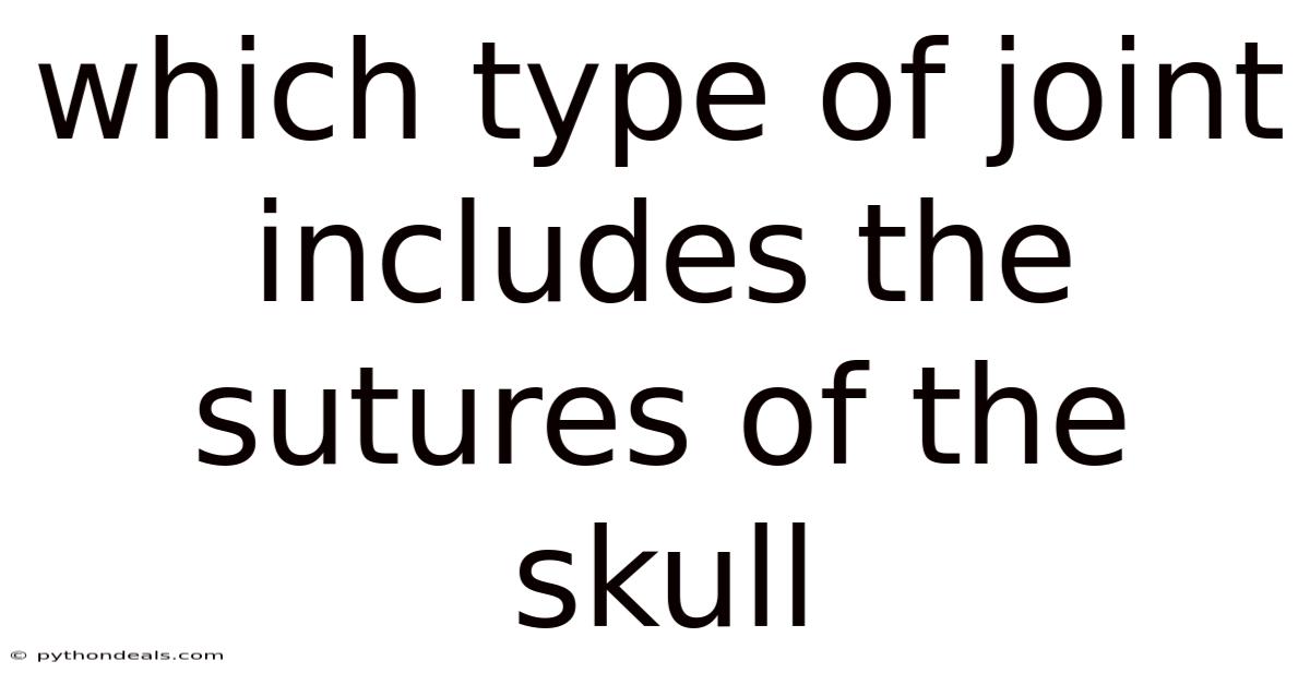 Which Type Of Joint Includes The Sutures Of The Skull