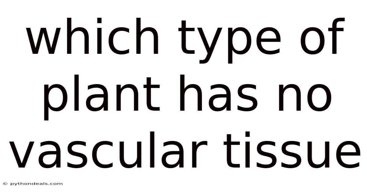 Which Type Of Plant Has No Vascular Tissue