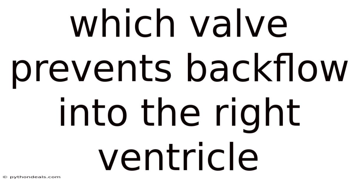 Which Valve Prevents Backflow Into The Right Ventricle