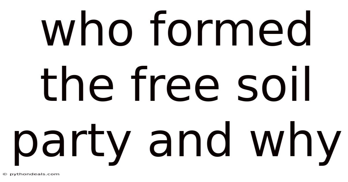 Who Formed The Free Soil Party And Why