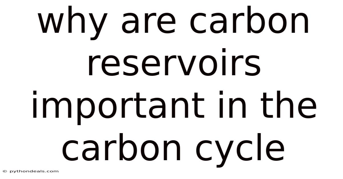 Why Are Carbon Reservoirs Important In The Carbon Cycle