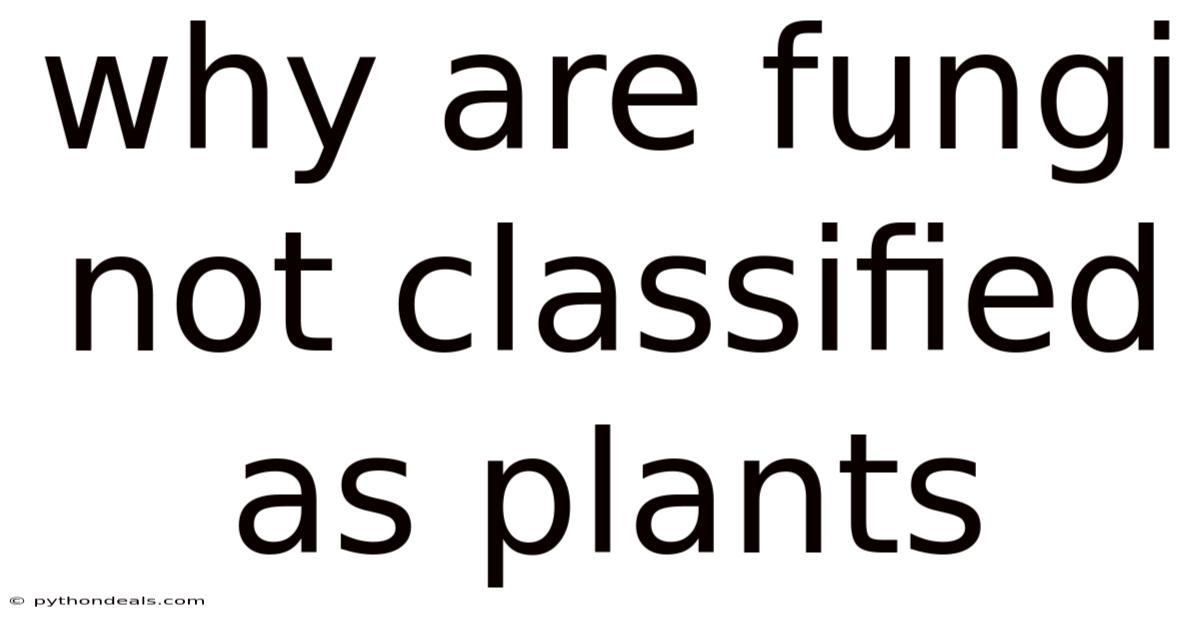 Why Are Fungi Not Classified As Plants