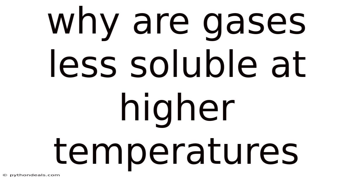 Why Are Gases Less Soluble At Higher Temperatures