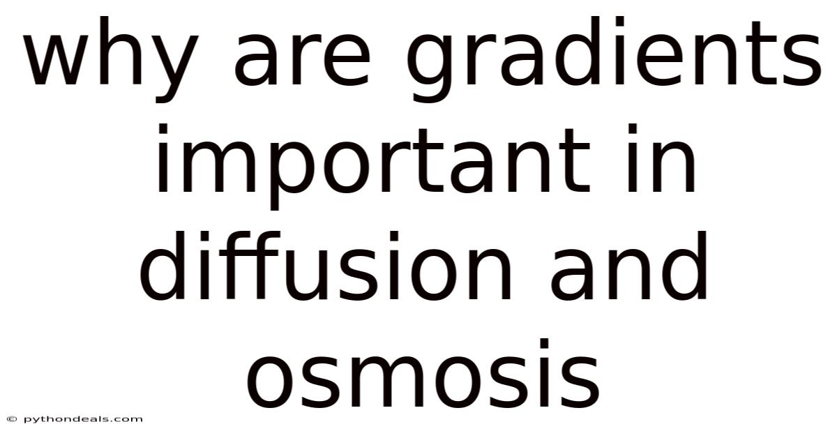 Why Are Gradients Important In Diffusion And Osmosis