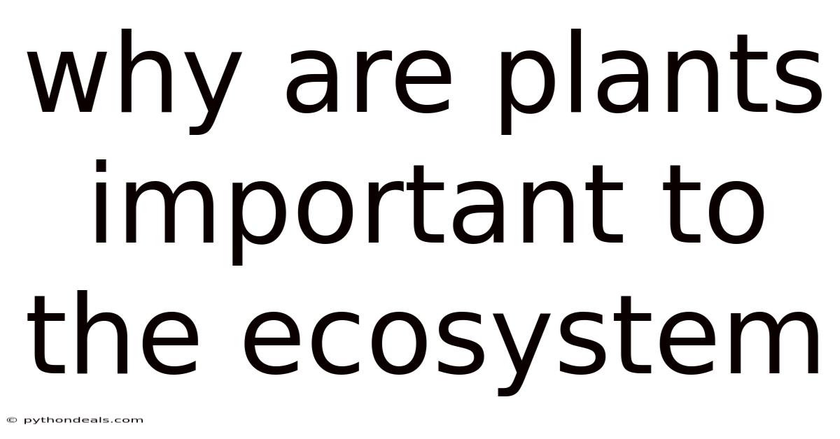 Why Are Plants Important To The Ecosystem