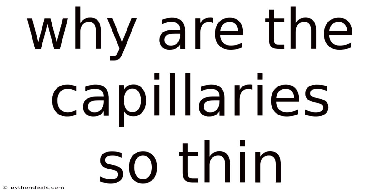 Why Are The Capillaries So Thin