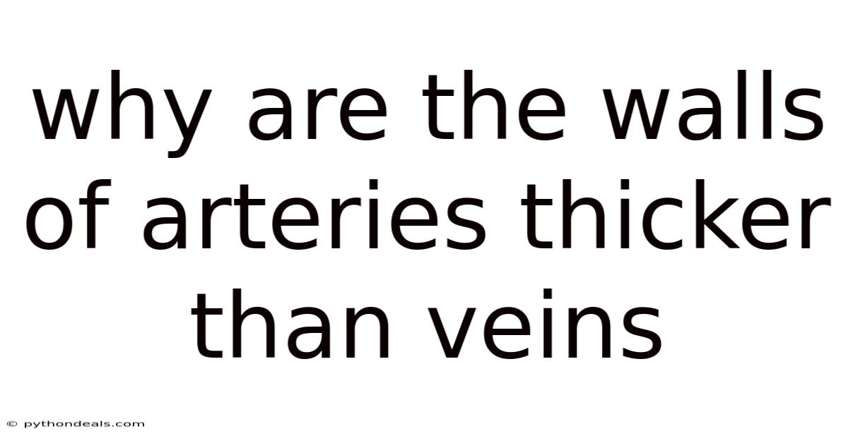 Why Are The Walls Of Arteries Thicker Than Veins