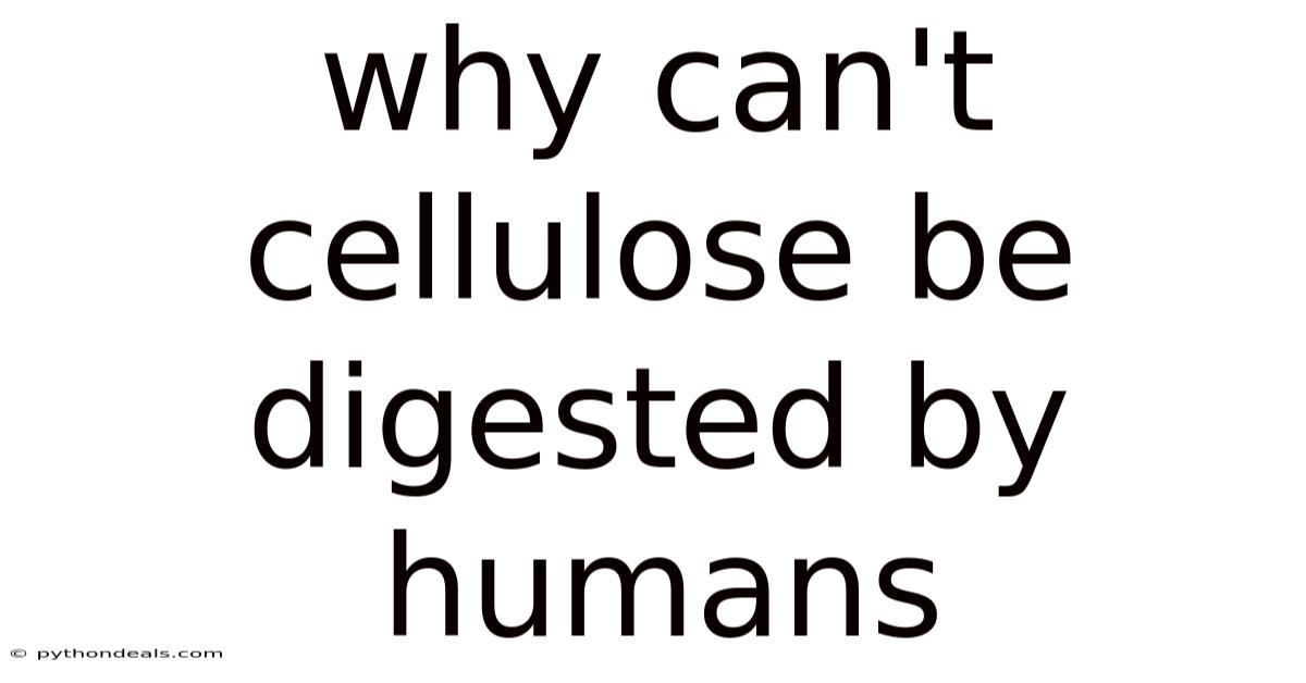 Why Can't Cellulose Be Digested By Humans