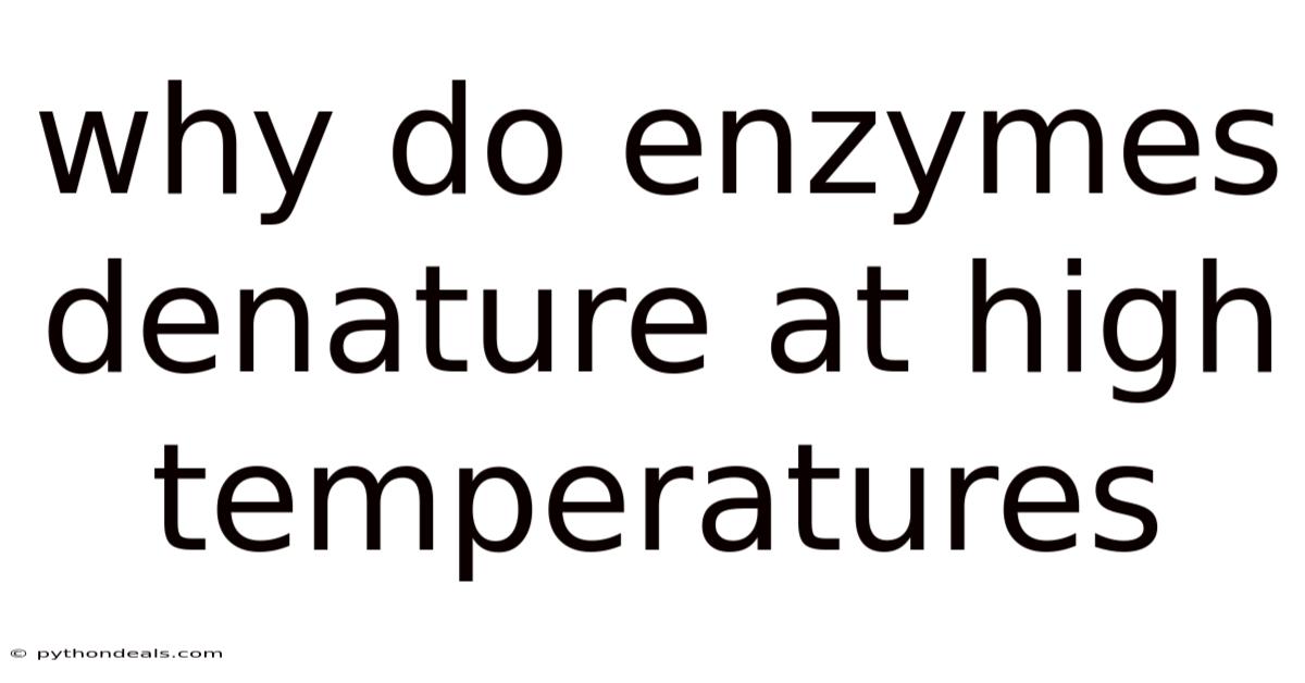 Why Do Enzymes Denature At High Temperatures