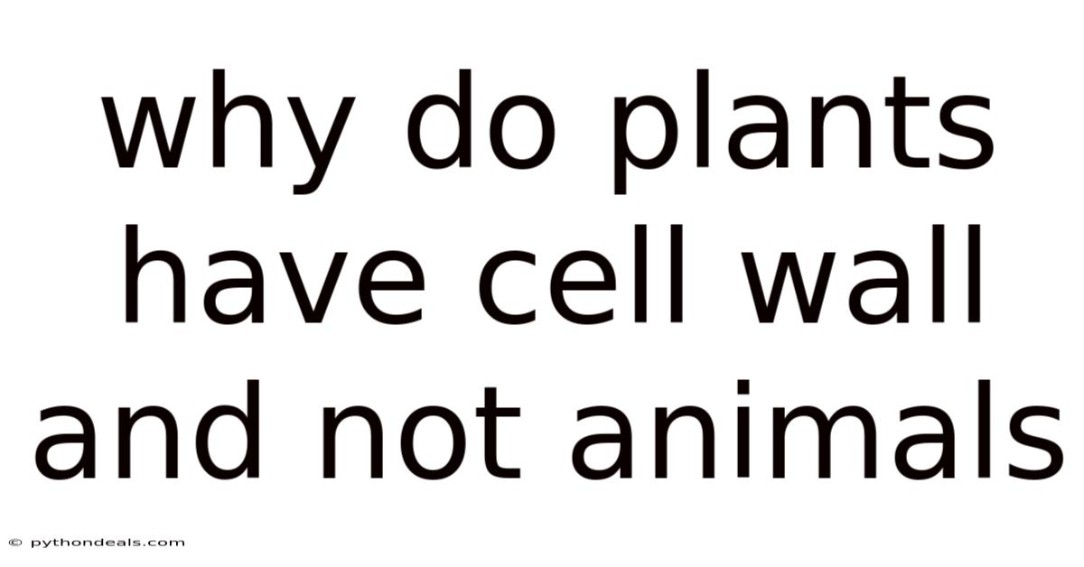 Why Do Plants Have Cell Wall And Not Animals