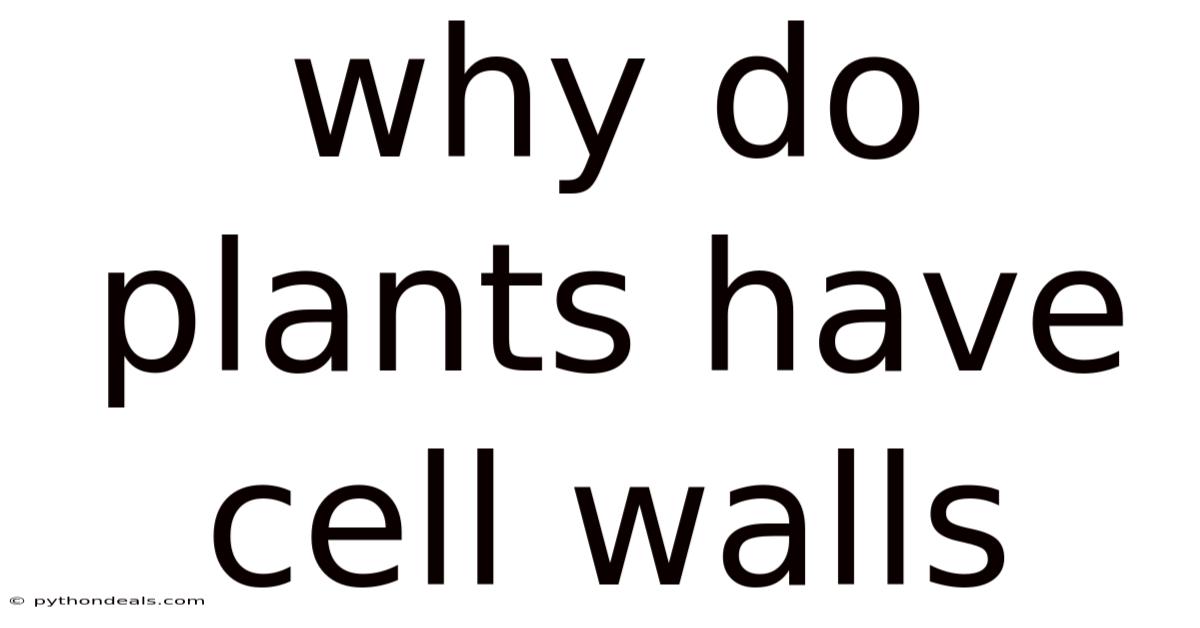 Why Do Plants Have Cell Walls