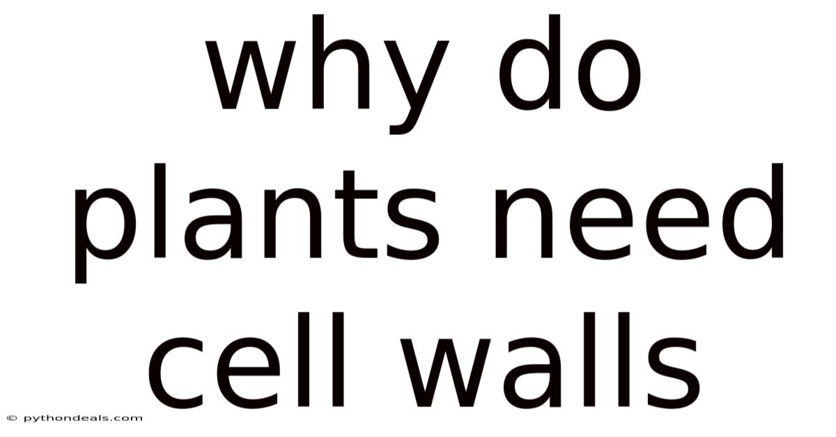 Why Do Plants Need Cell Walls