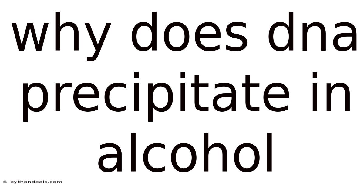 Why Does Dna Precipitate In Alcohol