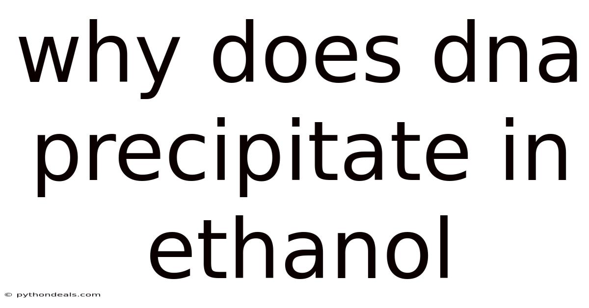 Why Does Dna Precipitate In Ethanol