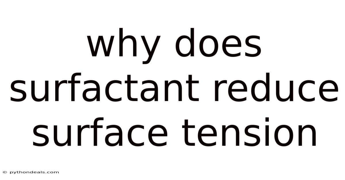 Why Does Surfactant Reduce Surface Tension