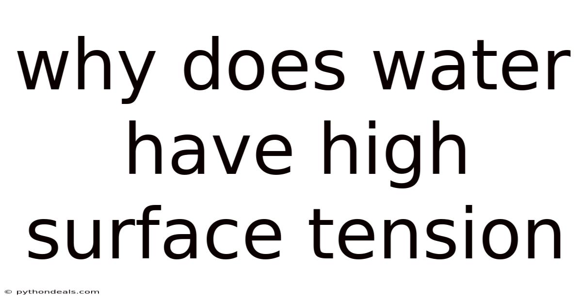 Why Does Water Have High Surface Tension