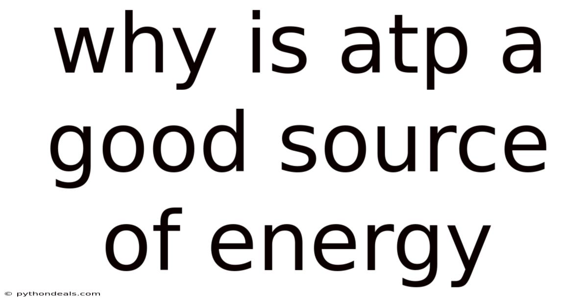Why Is Atp A Good Source Of Energy