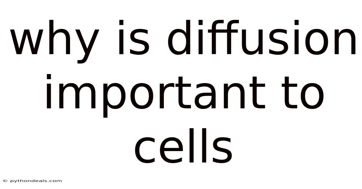 Why Is Diffusion Important To Cells