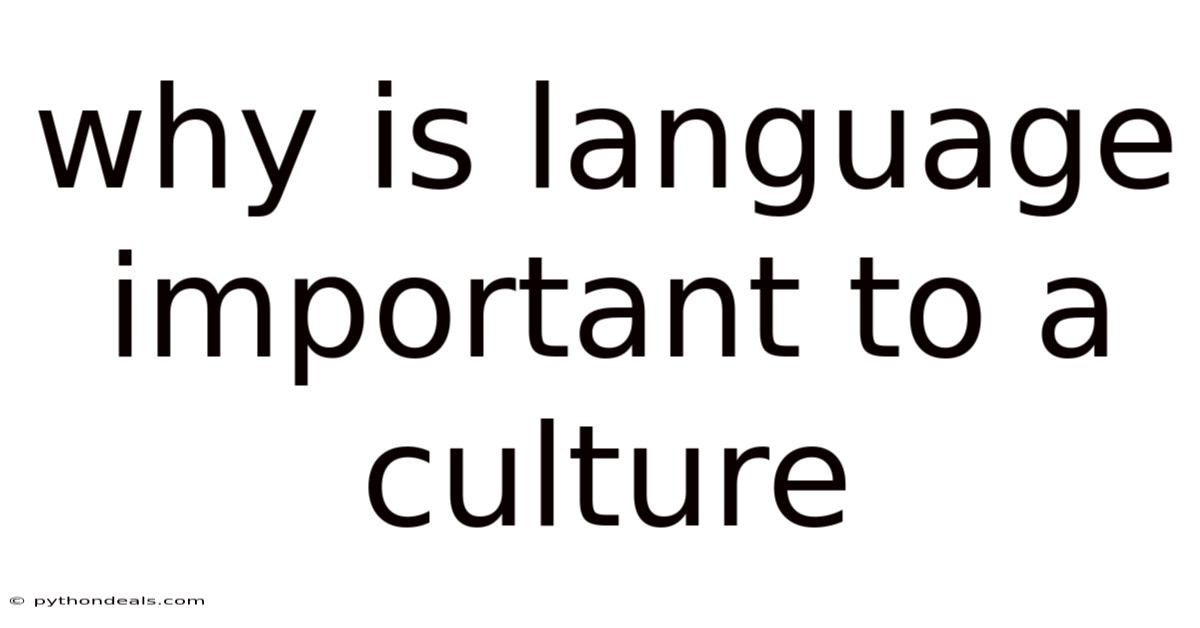 Why Is Language Important To A Culture