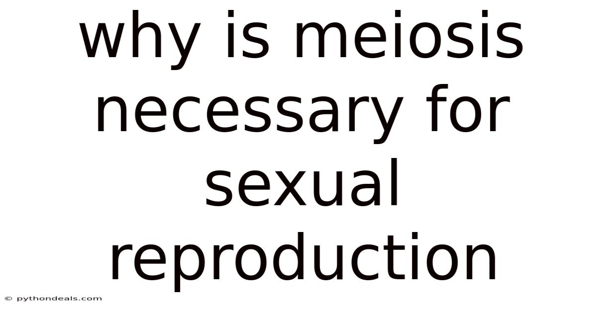 Why Is Meiosis Necessary For Sexual Reproduction
