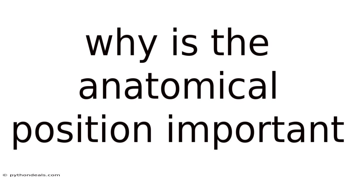 Why Is The Anatomical Position Important