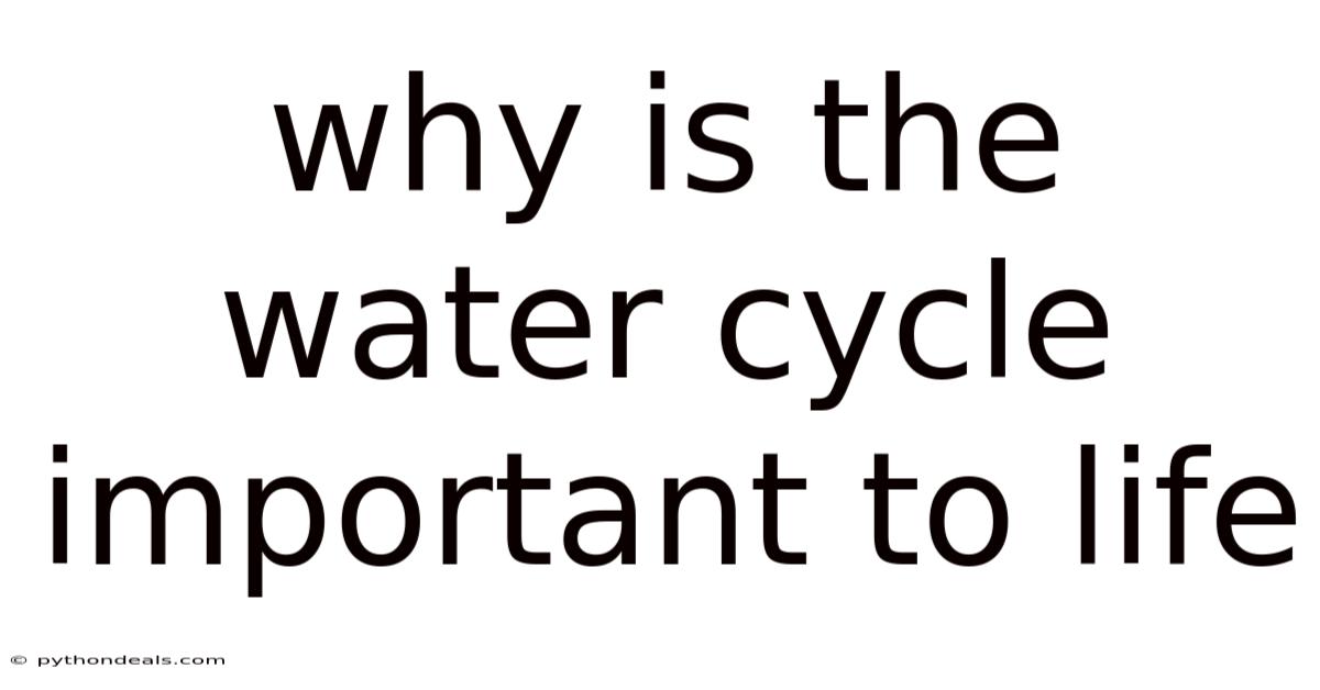 Why Is The Water Cycle Important To Life