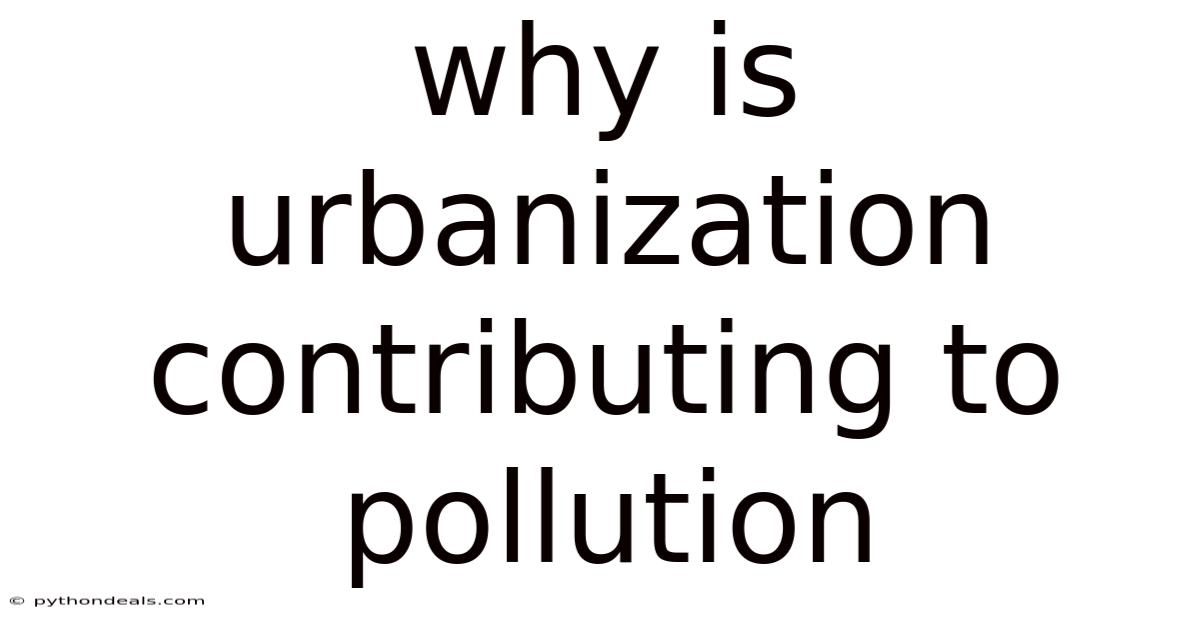 Why Is Urbanization Contributing To Pollution