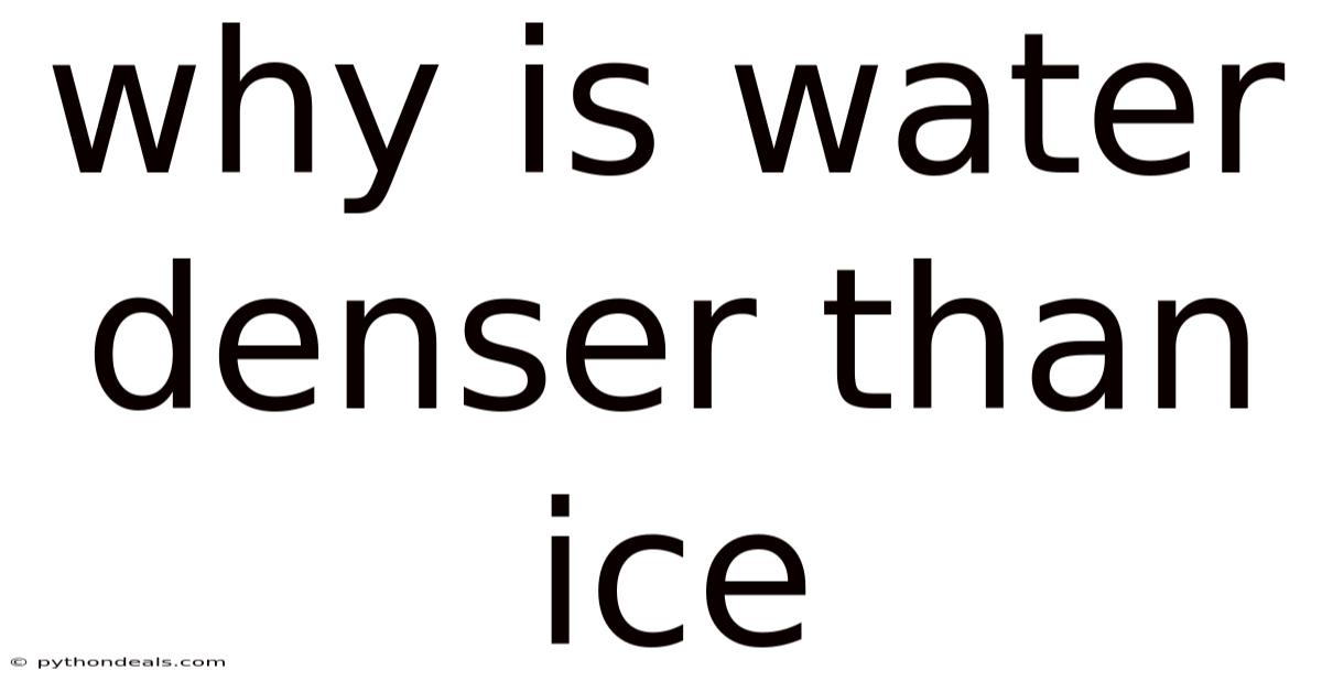 Why Is Water Denser Than Ice